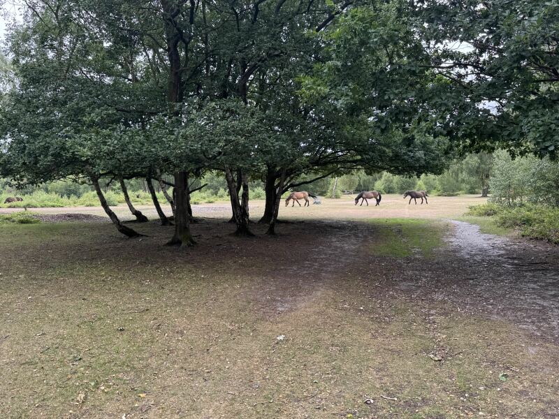 Mounjaro/Wegovy with > 5 stone/30kg to lose.  Thread 8!