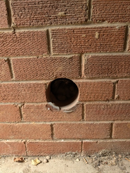 Buyers survey and holes in external brickwork