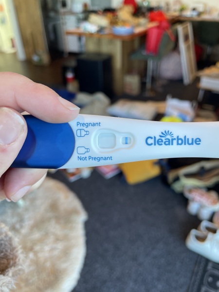 Am I pregnant- line ?