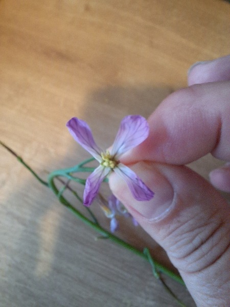 Year round Nigel Slater discussion thread Part 2