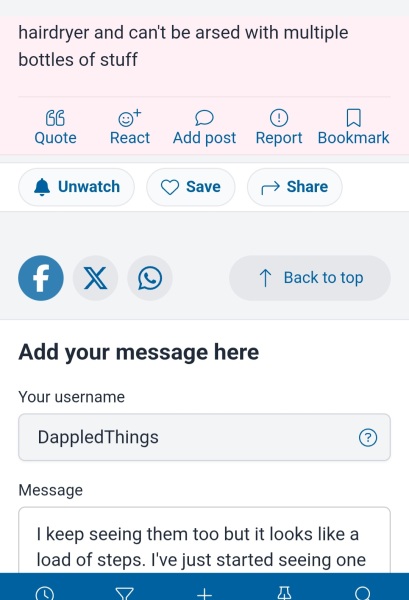 Posting leaves text in the box you write in (see image)