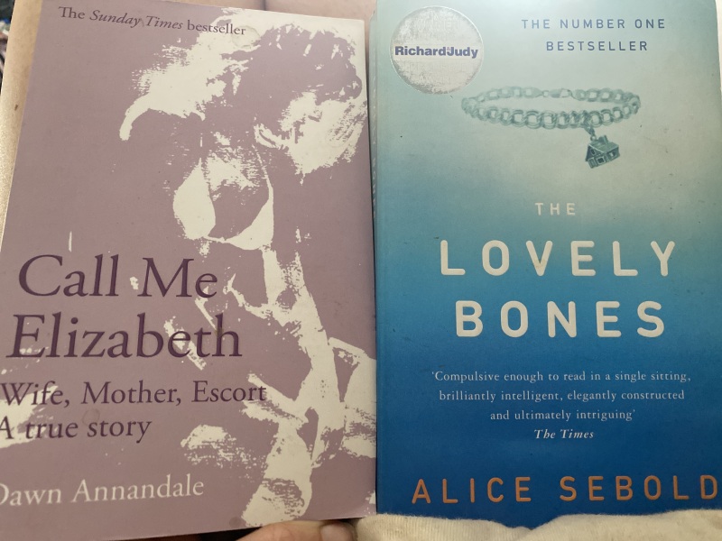 Quick book recommendation for holiday read, please!