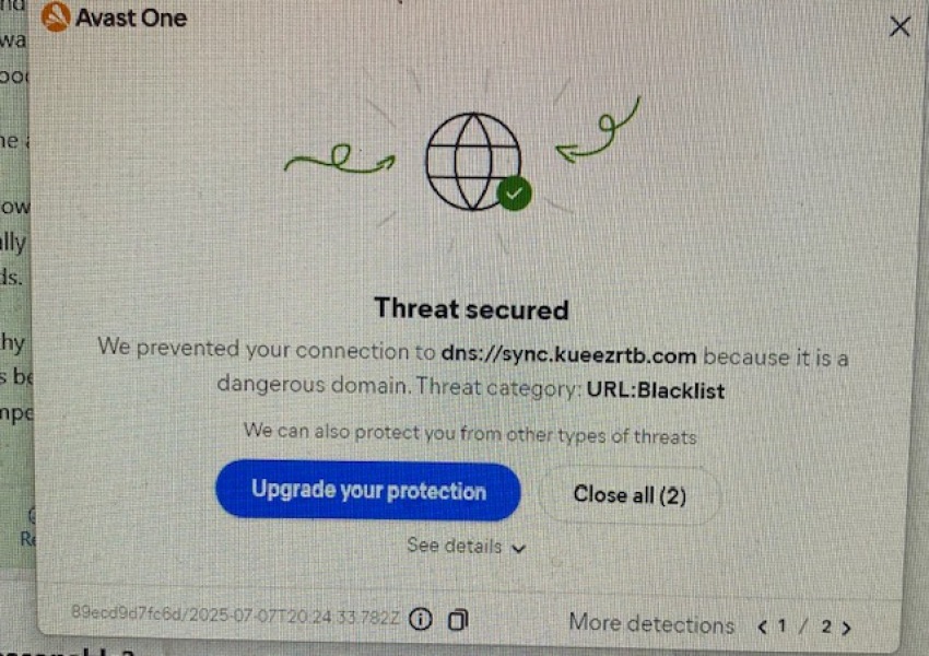 Fake virus page taking over