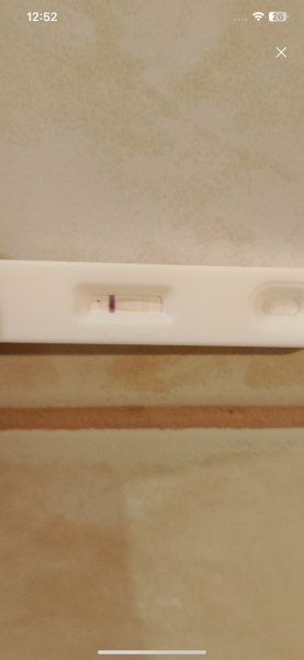 Pregnancy test result