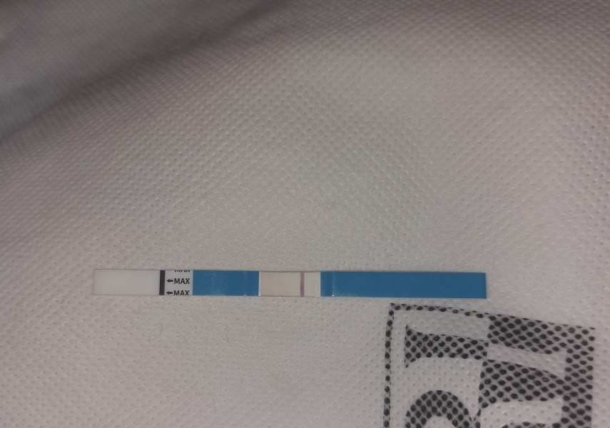 PLESE HELP with interpretation of resolut