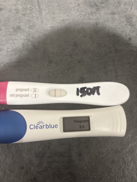 FETs June 2025 ✨✨