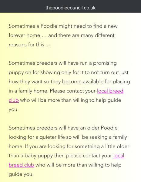 How to find a reputable toy or miniature poodle breeder