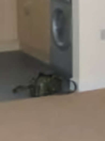 Please help me find this vintage Y2K style bag from around 2006/7...