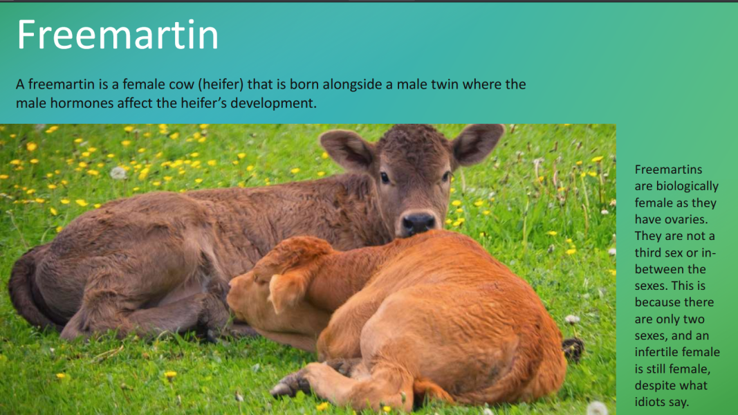 The Blackman-Bumba Guide...