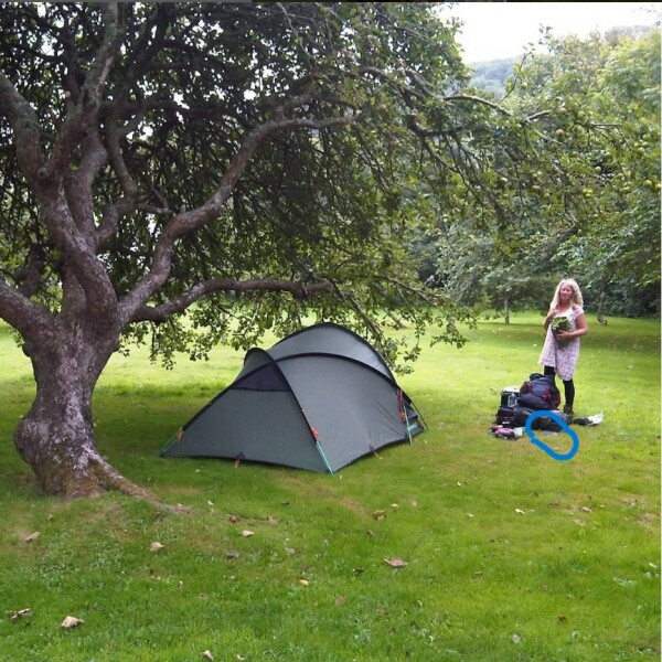 Thread 11: To feel disappointed after reading this in The Observer about the author and her husband from The Salt Path book and film?