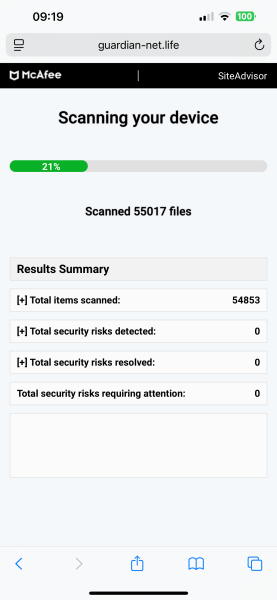 Fake virus page taking over