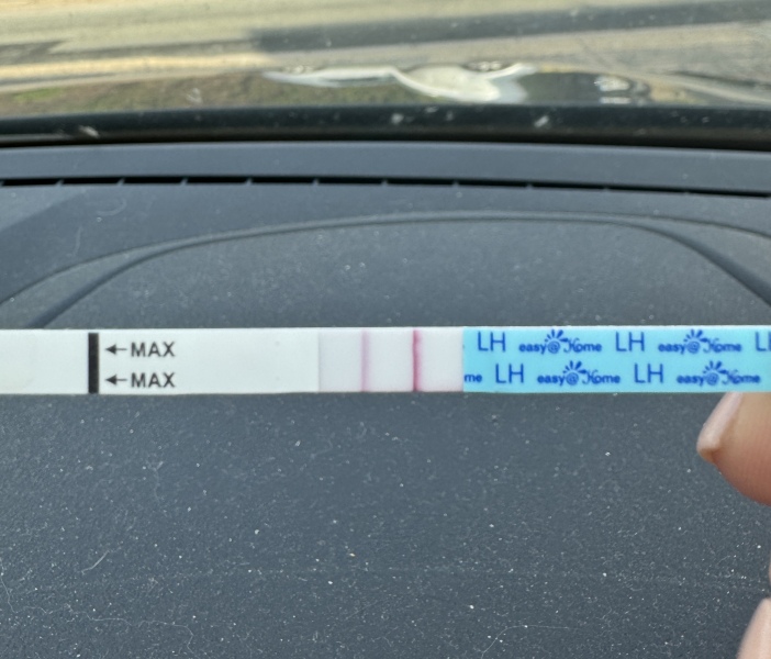 June/July TTC Thread❤️ CONTINUED