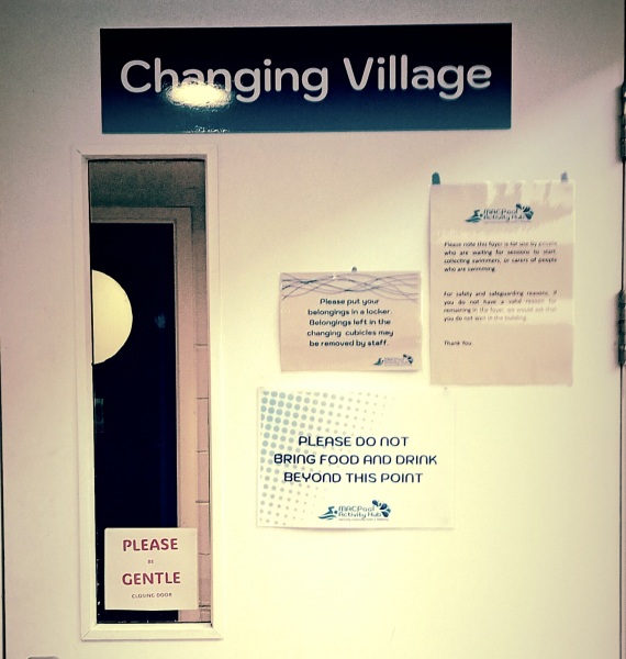 The One after the One where the Excellent Cats posed for a calendar