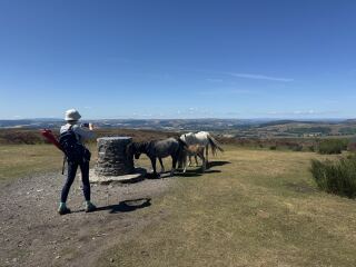 Come chat hiking with me!