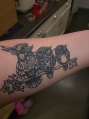 Which one is your favourite