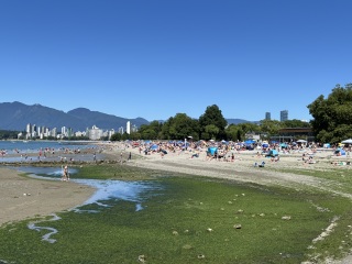 Come and tell us your dull and unexciting news 34: Calmly through the day