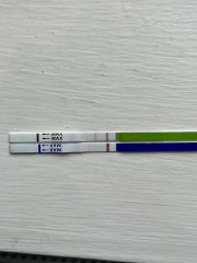 Something catching my eye?