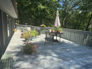 Come and tell us your dull and unexciting news 34: Calmly through the day