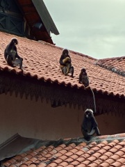 Thread 18 - TalkLair: "That's no moon. It's a space station!"