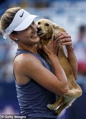TENNIS THREAD- we're moving on to the Hard Courts and the North American Swing. With a quick clay pit stop to win a cow or two. .