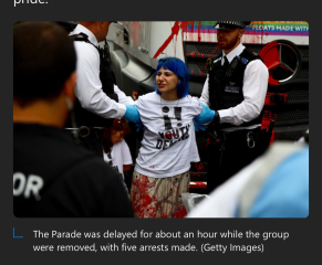 What do whips, spandex and dog masks have to do with Pride?