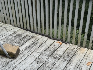 Come and tell us your dull and unexciting news 34: Calmly through the day