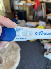 Am I pregnant- line ?