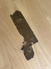 Flooring repair
