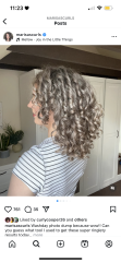 What does everyone think of grey hair?