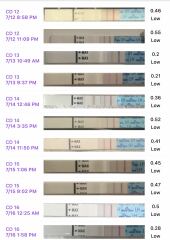 June/July TTC Thread❤️ CONTINUED