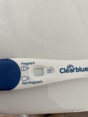 Am I pregnant ? Line ??