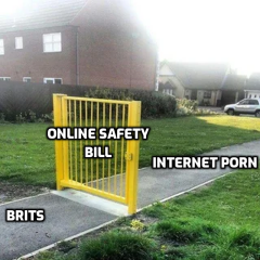 Online age checks must be in force from today