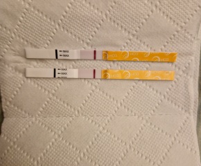 9 DPO, does anyone see anything on these tests