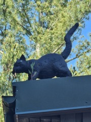 The One after the One where the Excellent Cats posed for a calendar