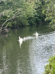 Does anybody like London