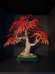 To show me your LEGO collection- Part 2
