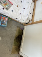 Black mould in kids bedroom