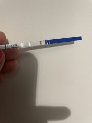 Line eyes please! Am I going mad?