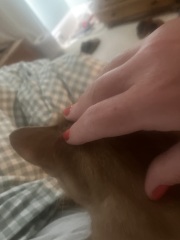 The One after the One where the Excellent Cats posed for a calendar