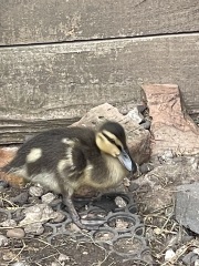 January 2025 Starters - Thread 10 - Onward & Downward Losers!