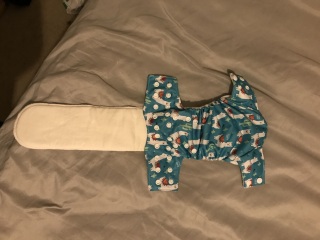 Cloth nappy help