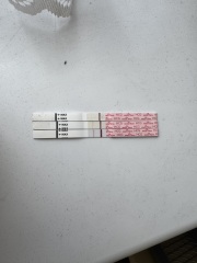 Bleeding in early pregnancy