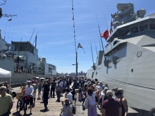 Daily Project round 7