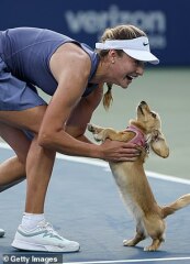 TENNIS THREAD- we're moving on to the Hard Courts and the North American Swing. With a quick clay pit stop to win a cow or two. .