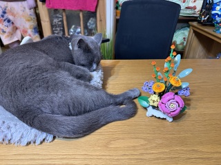 The One after the One where the Excellent Cats posed for a calendar