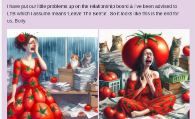 The Bluestocking - holding the line and losing the thread