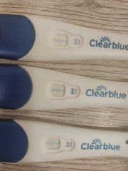 Is this a new pregnancy 4 weeks after loss