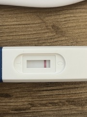 Confusion of pregnancy tests