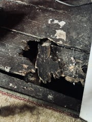 To be scared to sleep because there’s a rat in my house?