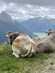 Has anyone hiked from Tegernsee in Germany to Sterzing in Italy?